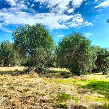 Agriturismo Lillastro Braccagni Zewnętrze zdjęcie