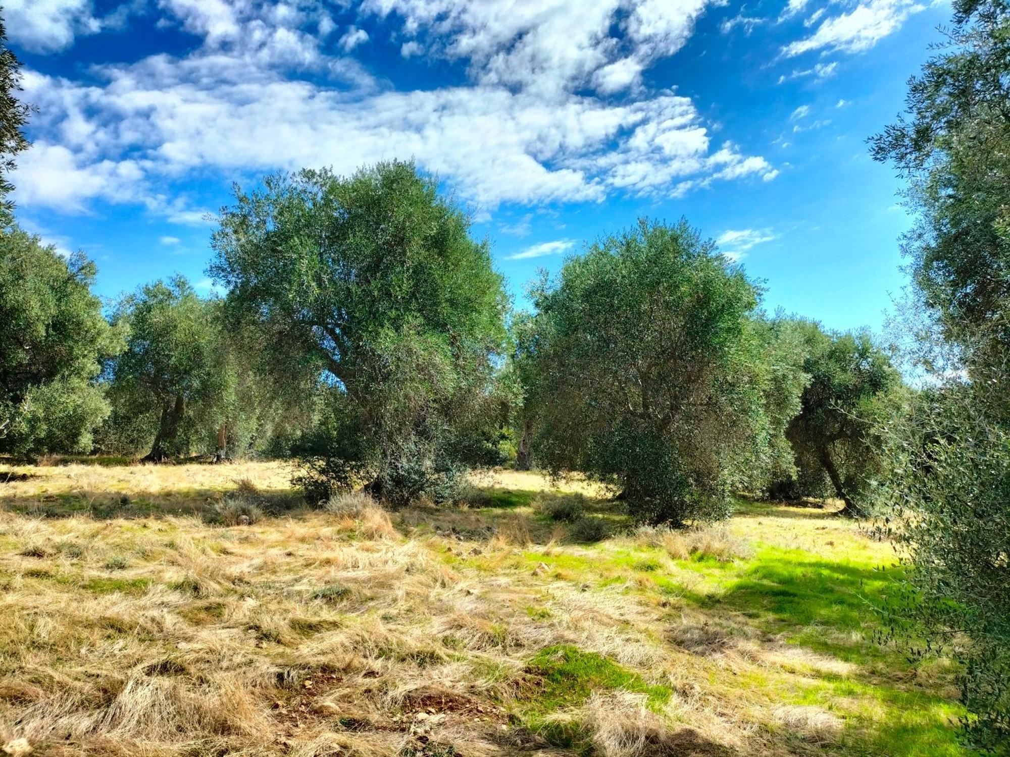 Agriturismo Lillastro Braccagni Zewnętrze zdjęcie