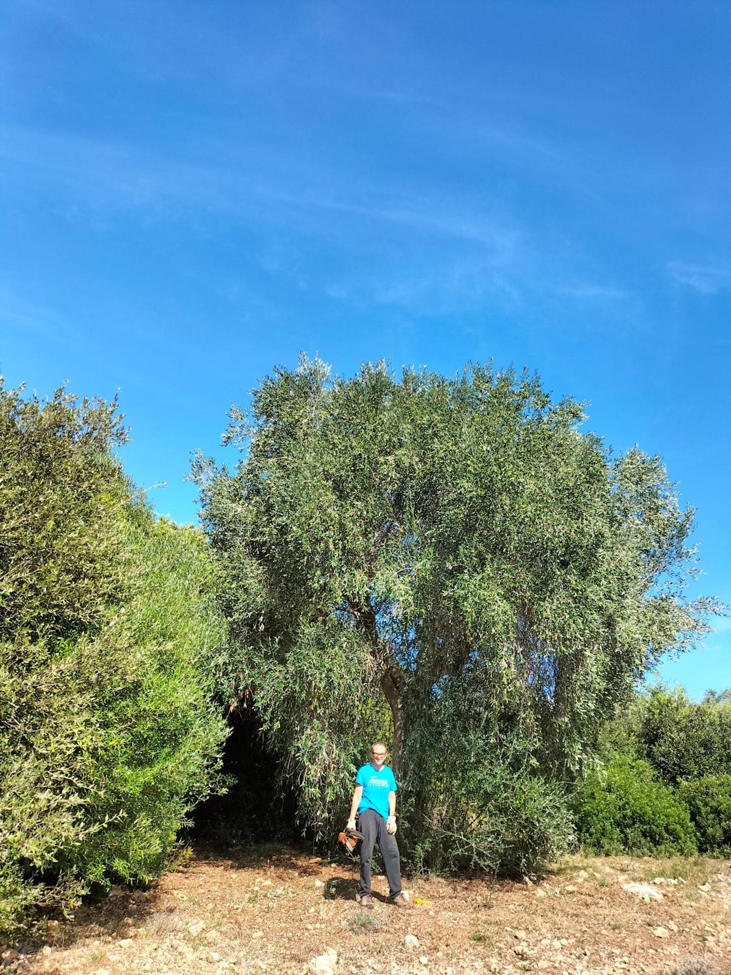 Agriturismo Lillastro Braccagni Zewnętrze zdjęcie
