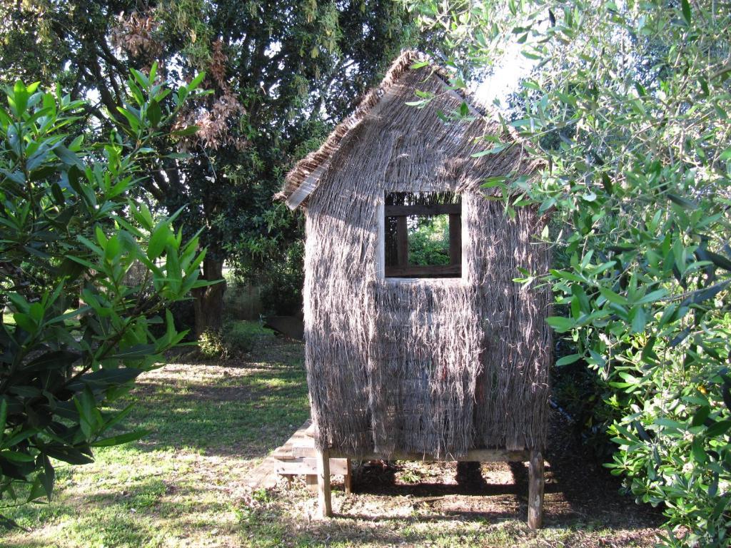 Agriturismo Lillastro Braccagni Zewnętrze zdjęcie